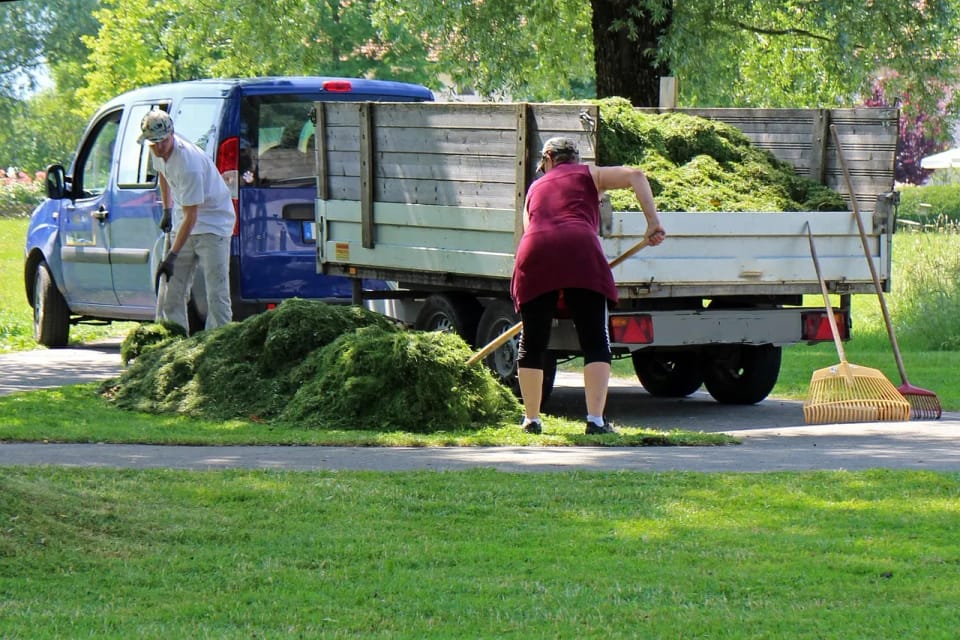 Poda y tala en Barcelona — jardinero en Barcelona (2)